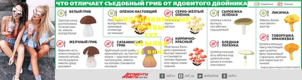 ПСИЛОЦИБИНОВЫЕ ГРИБЫ Нефтекумск
