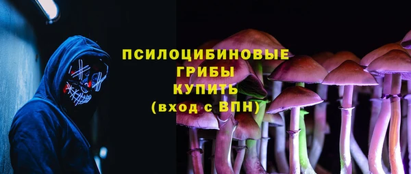 синтетический гашиш Алексин
