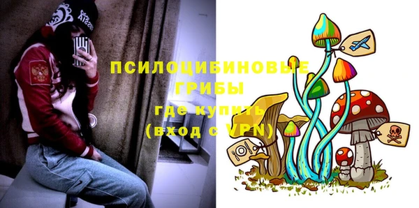 синтетический гашиш Алексин